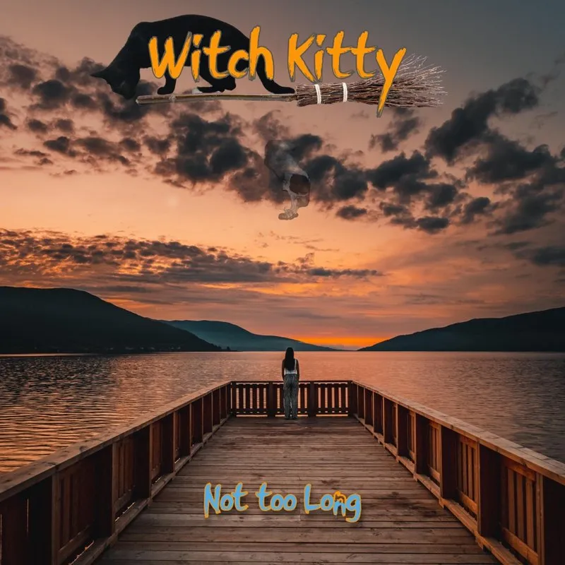 Cover art for Not Too Long